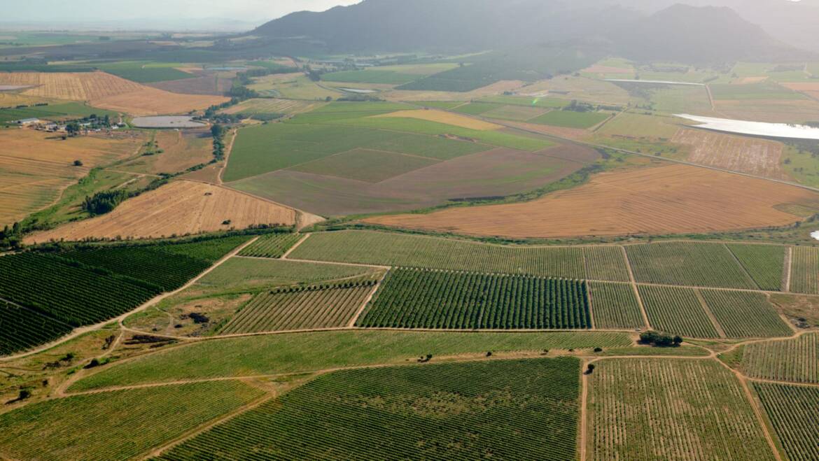 Significant Omissions in the ANC’s Quest for the Land