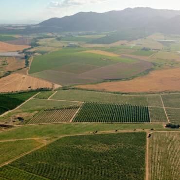 Significant Omissions in the ANC’s Quest for the Land
